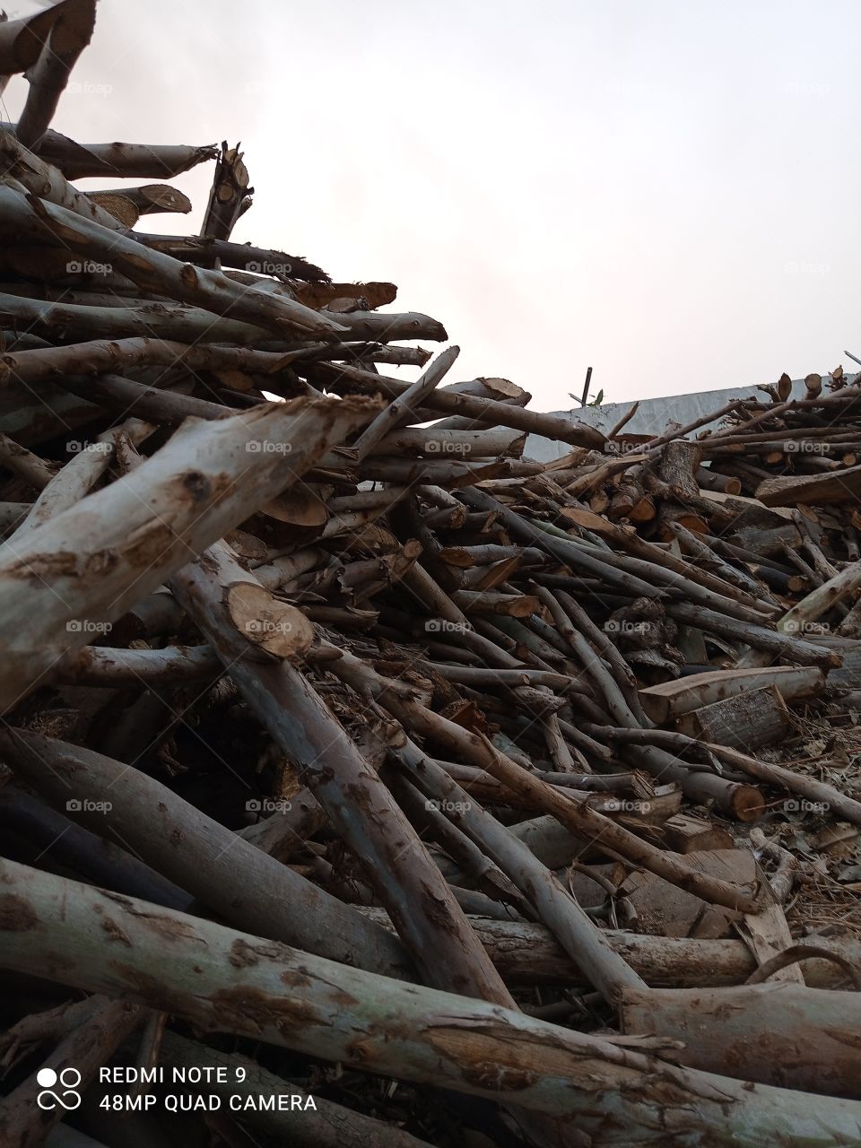 How much do you like this photo?