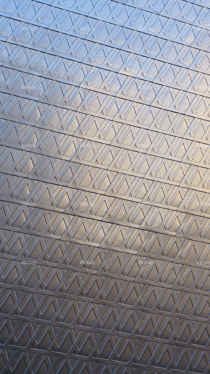 Louis Vuiton Store metallic façade