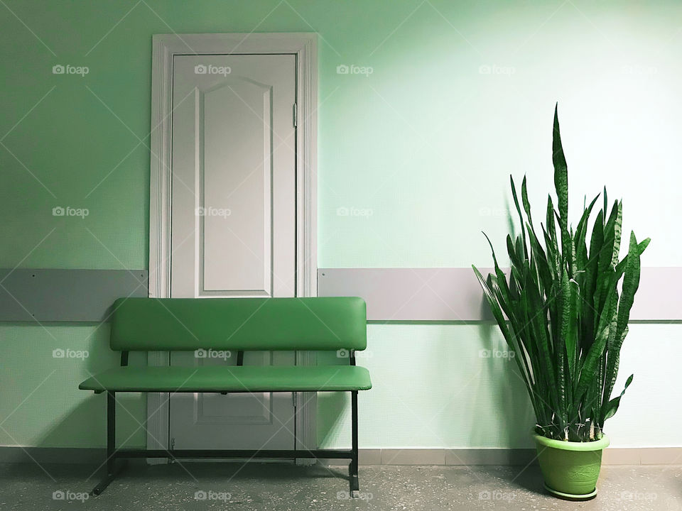 Green and white minimalist interior design 