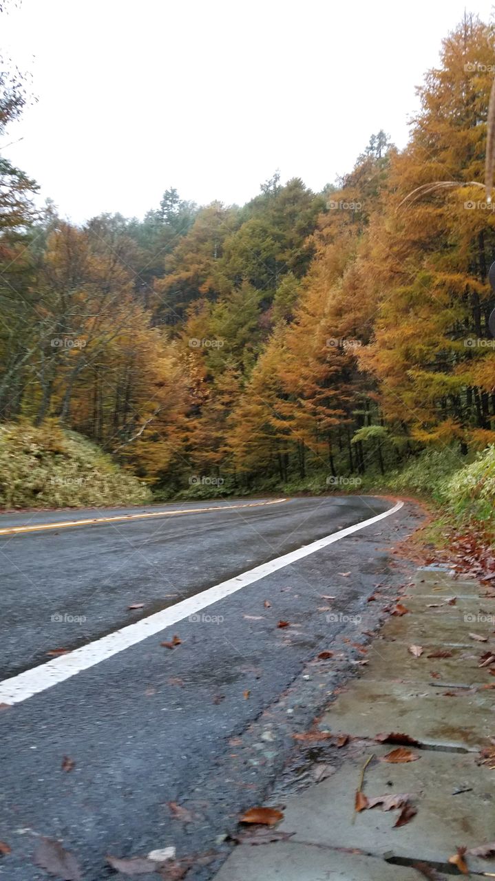 Fall roads