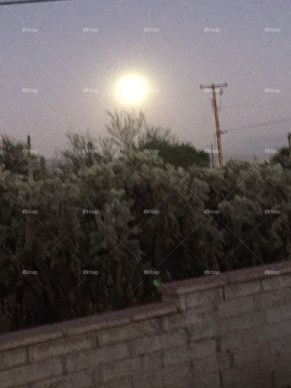 Full Moon 