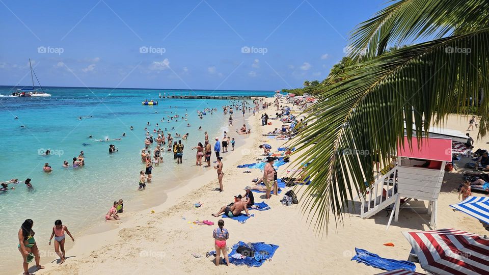 crowded Beach in Jamaica with palm tree