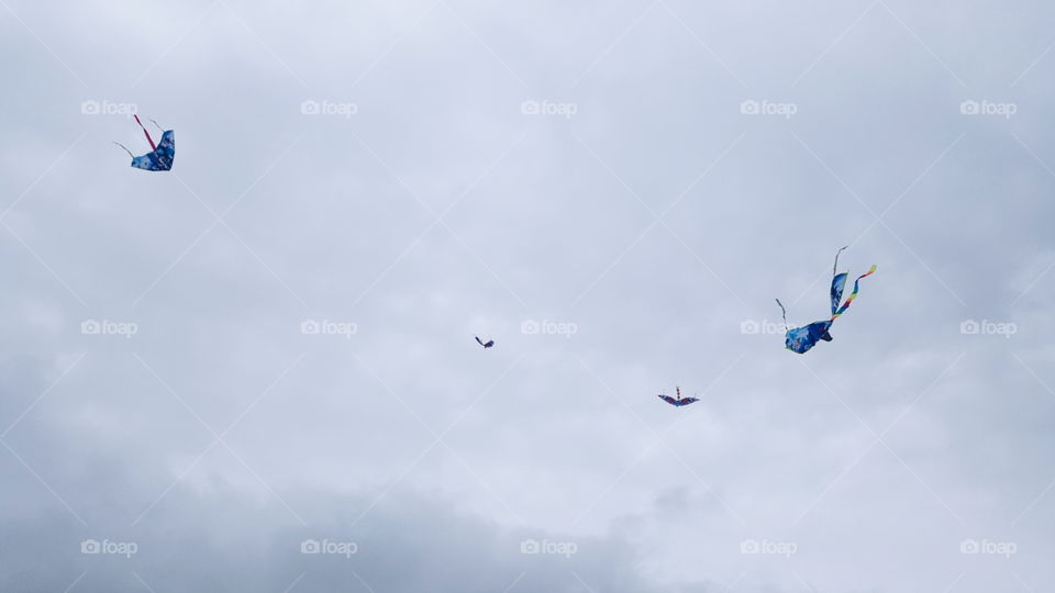 Kites in the air