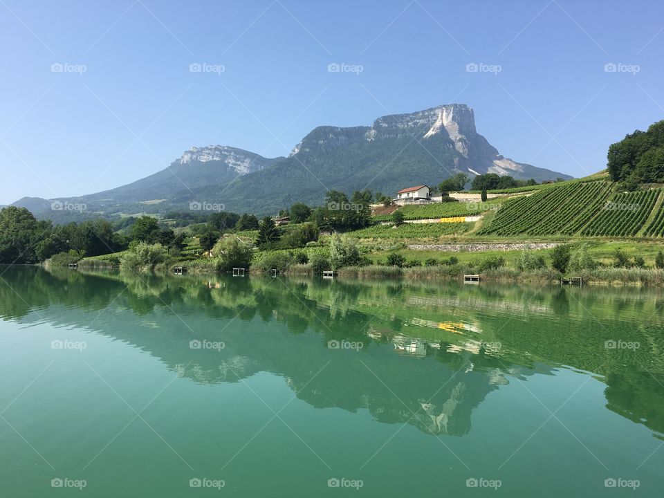 Lake as a mirror with vineyard and mountain from Savoy