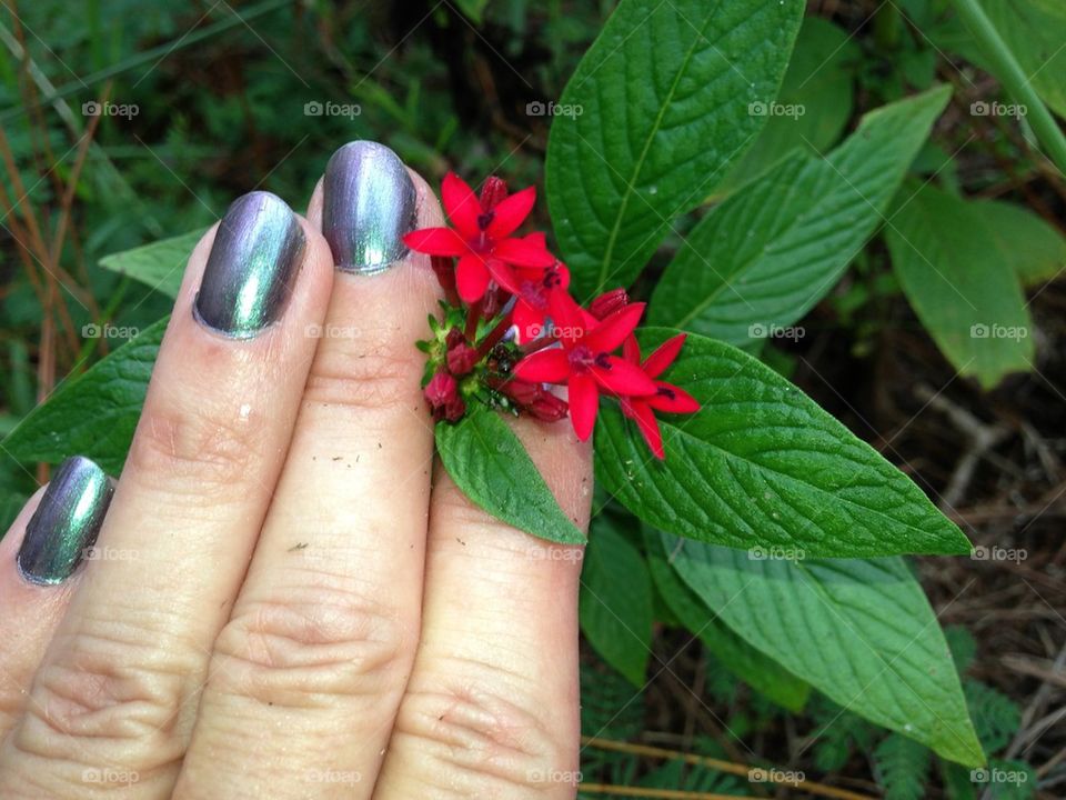Red flowers in hand