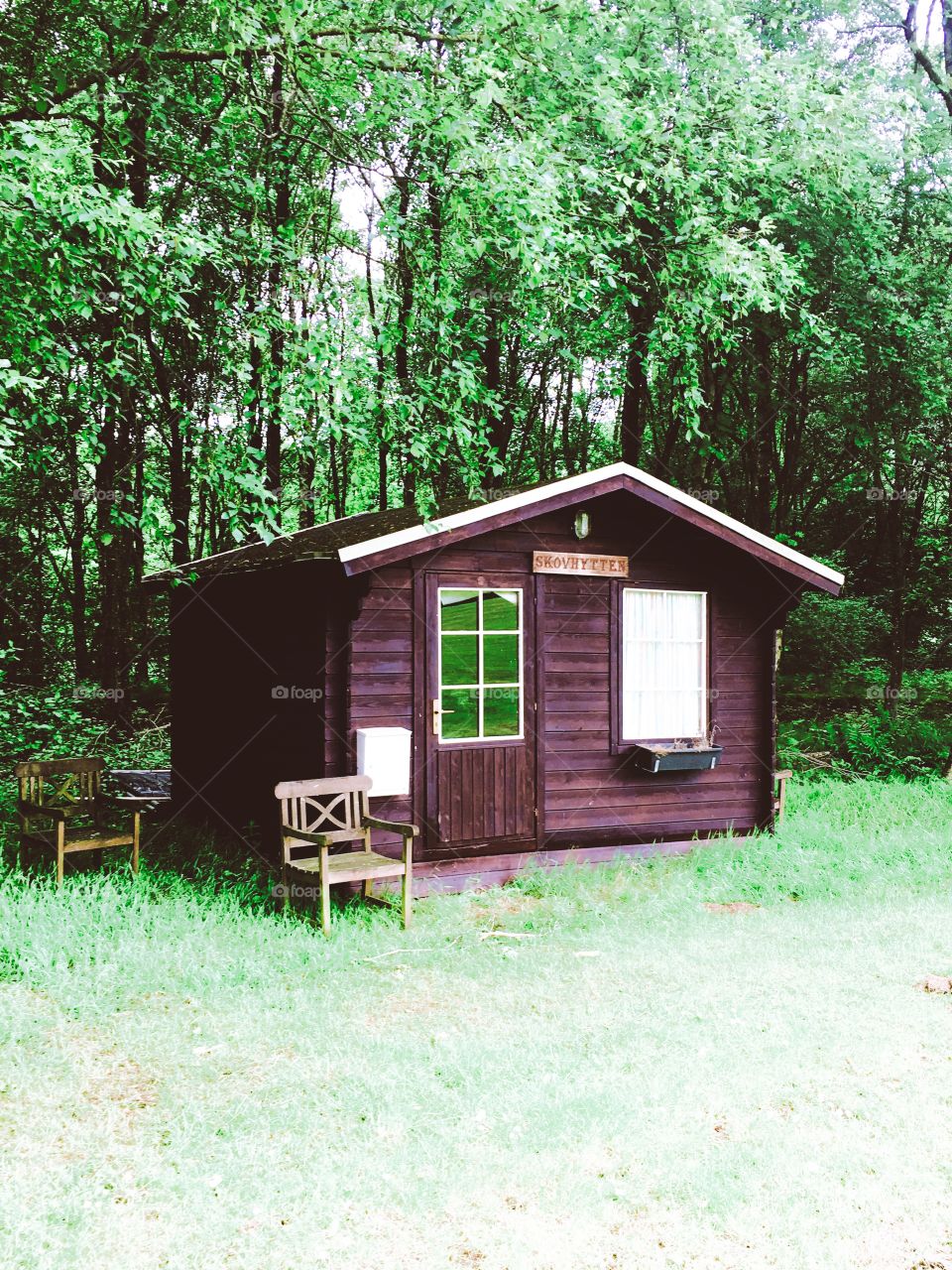 Cabin in the danish woods 