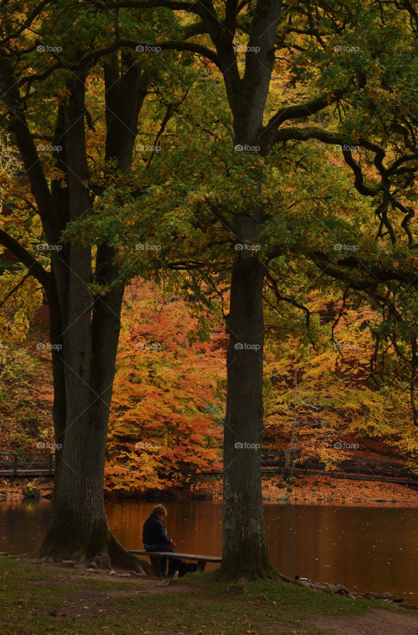 Enjoying autumn