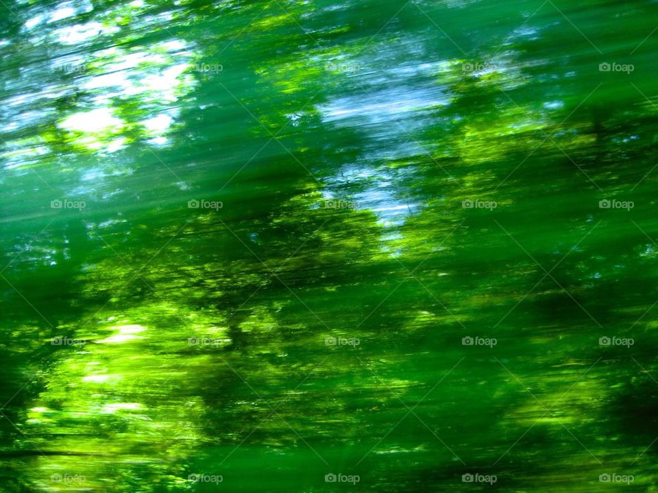 Trees in motion