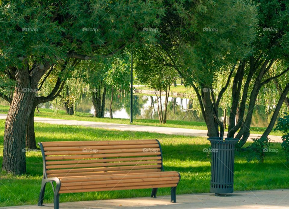 The bench in the park