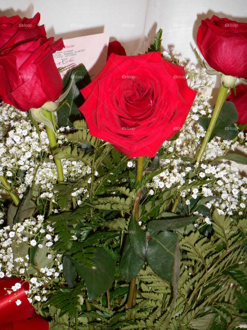 Roses