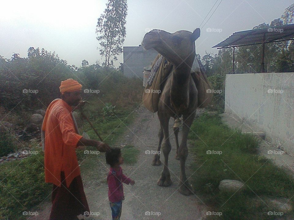 Baba ,baby and camel