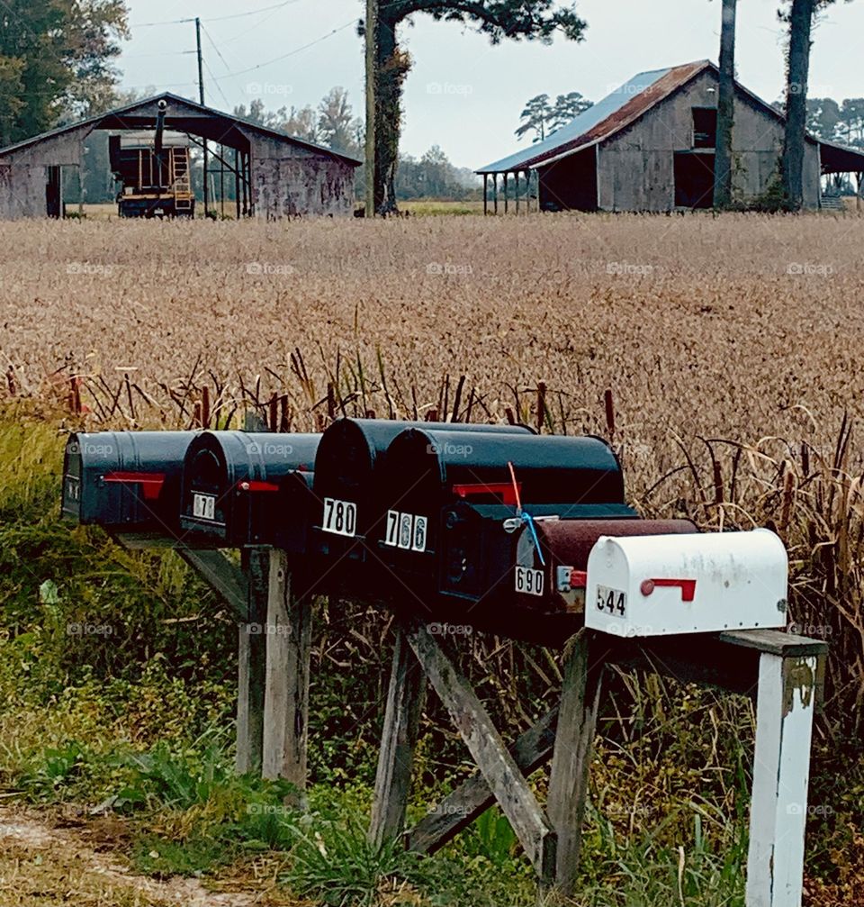 Mailboxes and barns 