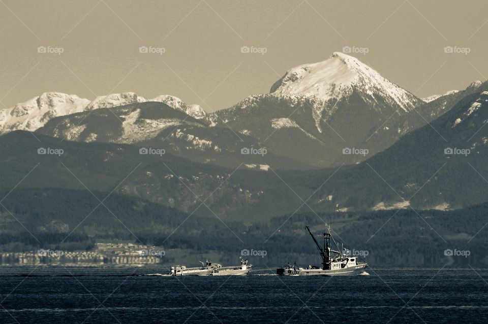 Herring season is prolific on the Pacific Coast and a fishing boat pulling 2 net boats is returning home from the harvest. It was a sunny clear day and use of monochrome split-toning reveals the multi-layered landscape. 