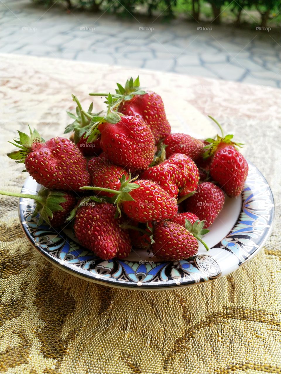 biological strawberry