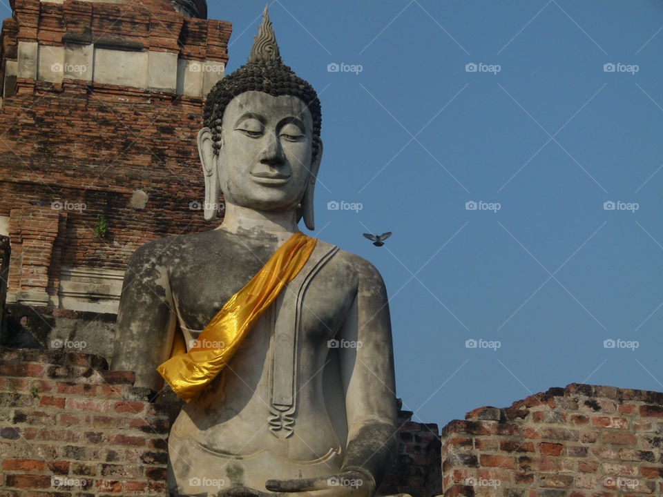 bird buddha burma spritual by tomtom