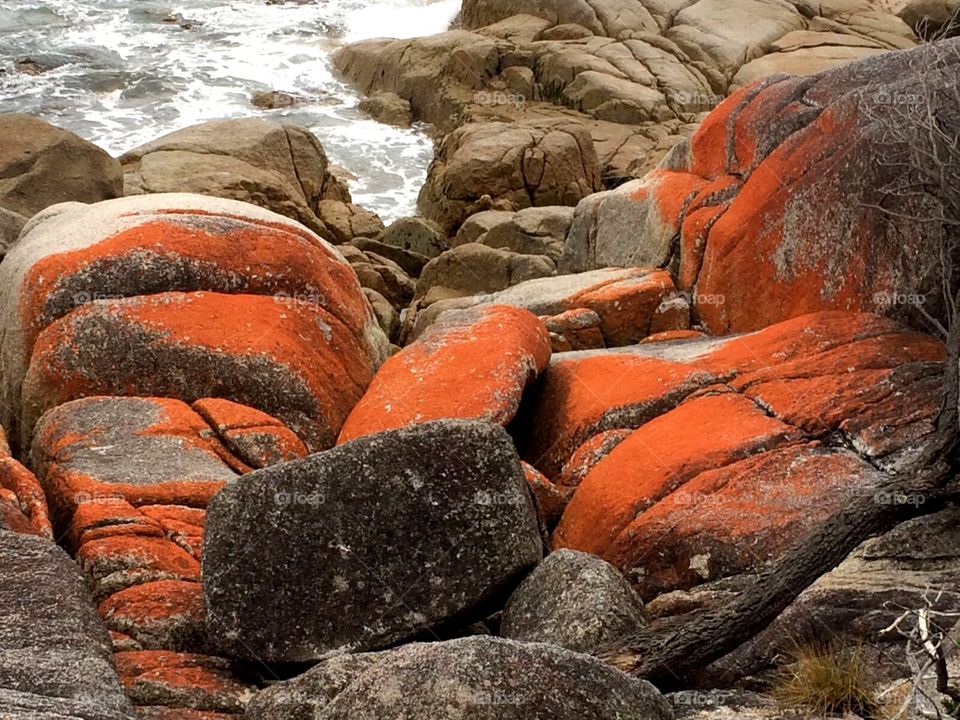 Bay of Fires