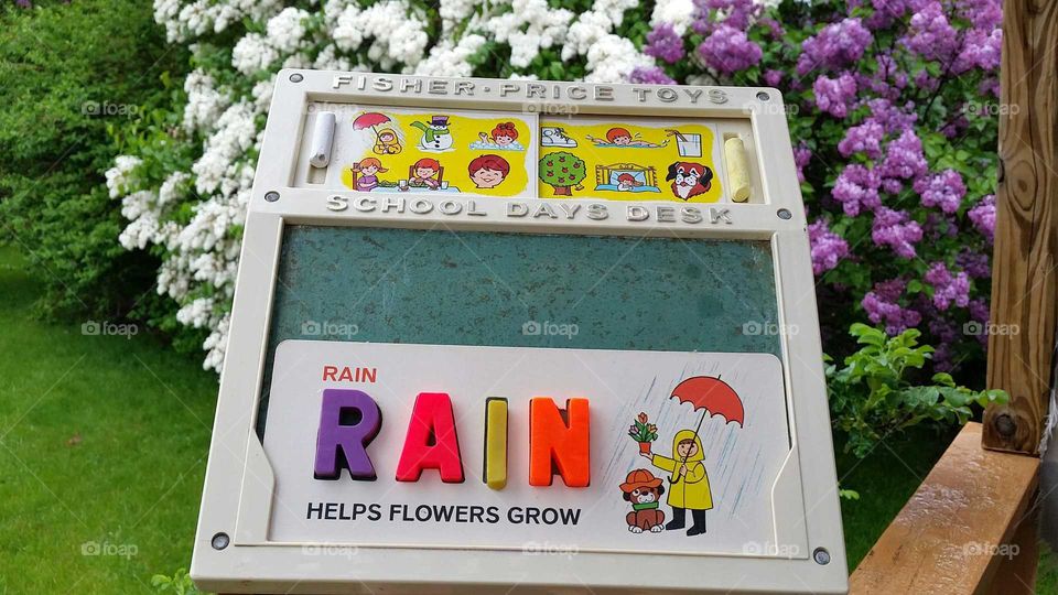 Fisher Price School Days Rain Helps Make The Flowers Grow