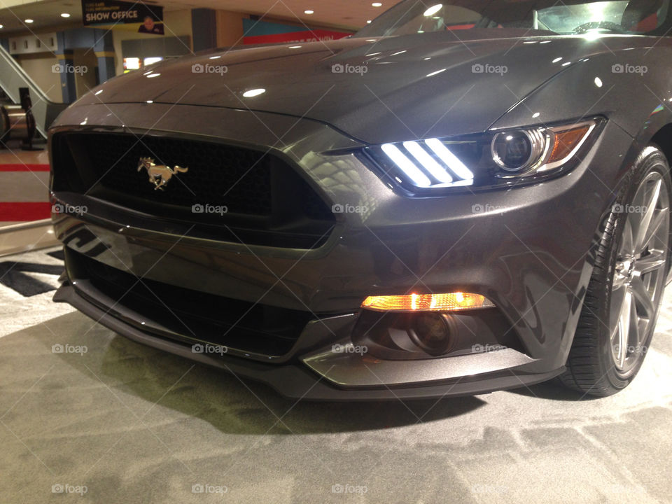 Mustang GT. Mustang GT at miami car show