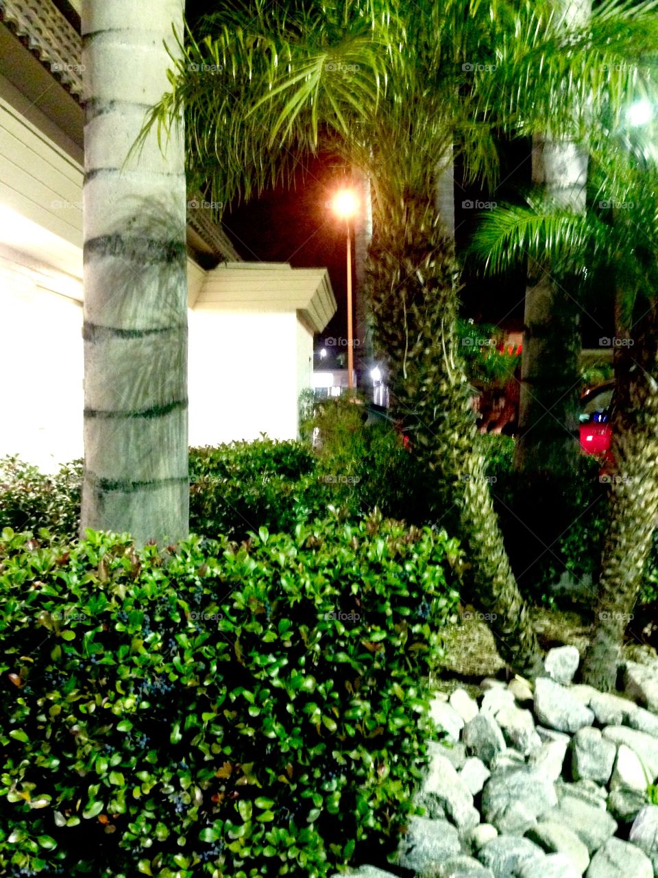 Landscaping 

Published by:
HappyBrownMonkey 