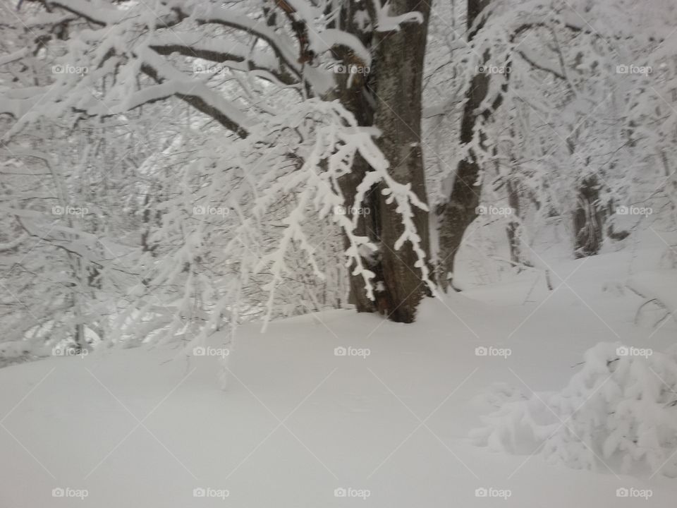 winter time mountain with snow
