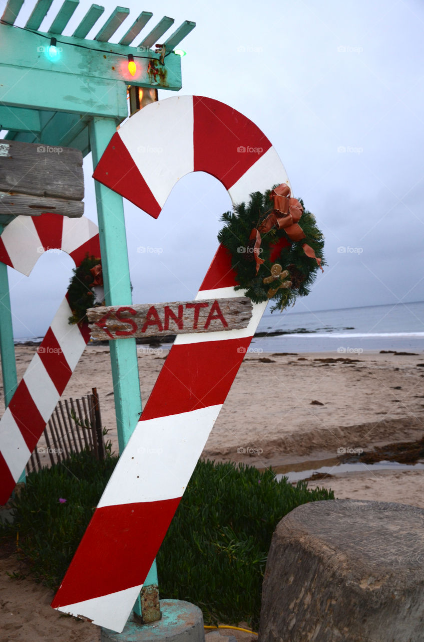 Crystal Cove Candy Cane!