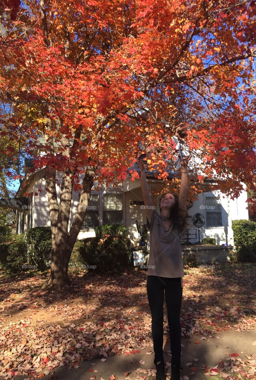 Young beautiful brunette woman throwing leaves up in front of an orange fall tree at a neighbors. 