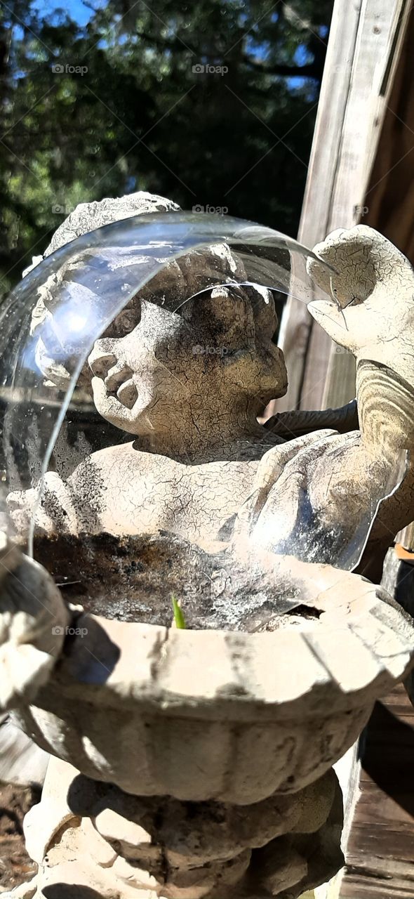 new growth in an old yard ornament