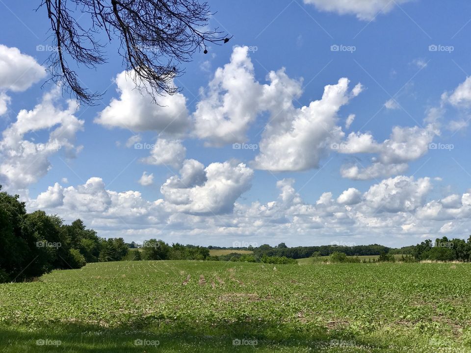 Iowa sky