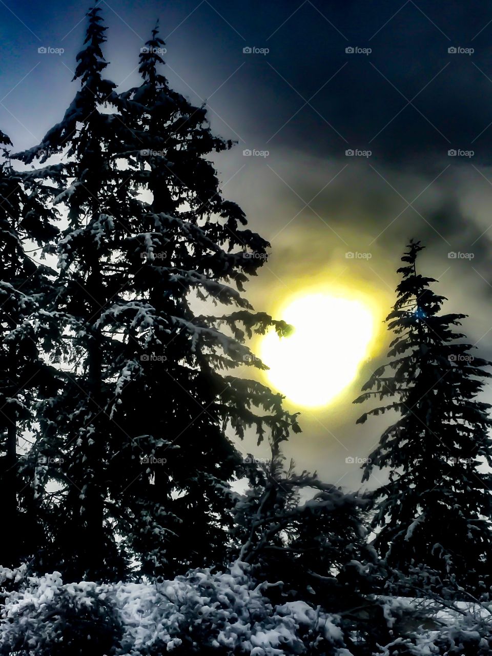 Winter Front & Present 