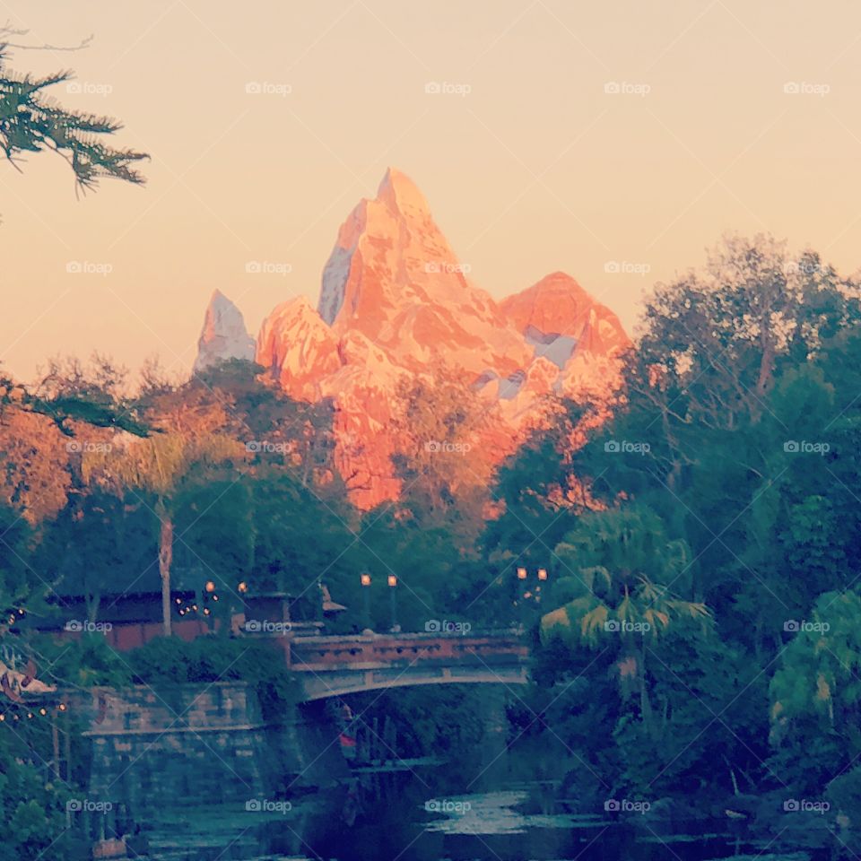 Disney World Mt. Everest, sky, plants, trees and a looking beautiful naturally.