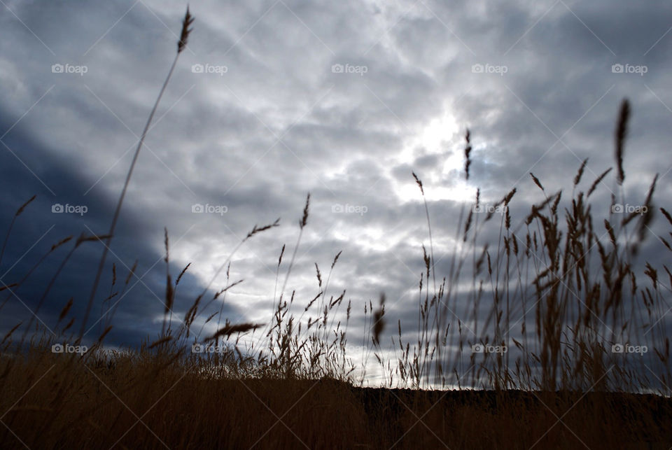 field clouds silhouette wild by ihbtony