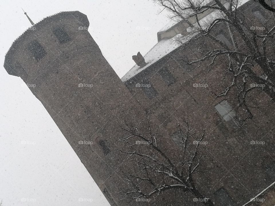 snow in turin