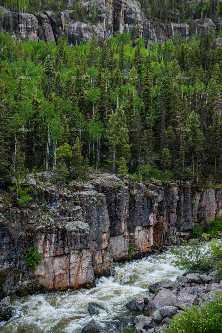 Mountain stream in Colorado