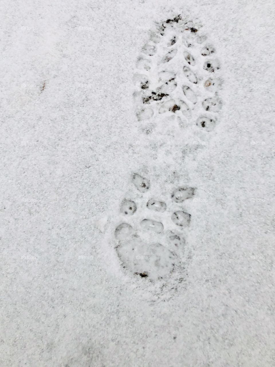 Footstep in snow-December 06 2018-Montreal, Quebec, Canada 