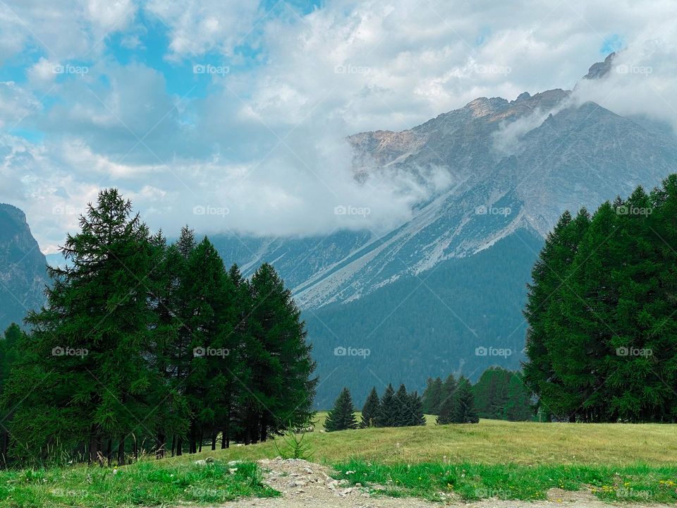 Summer in mountains 