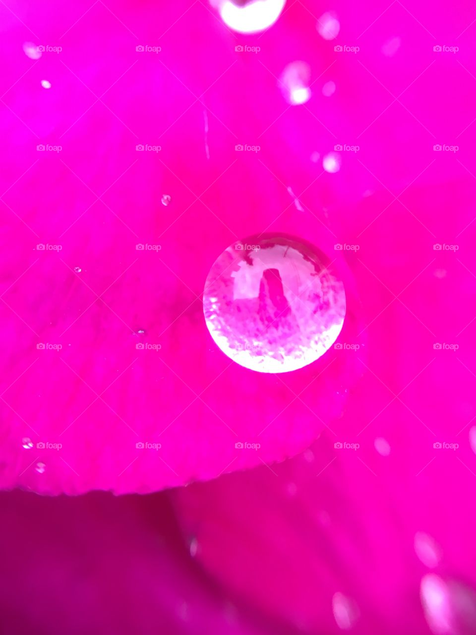 Closeup of rain drop