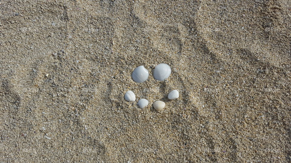 smiley shells