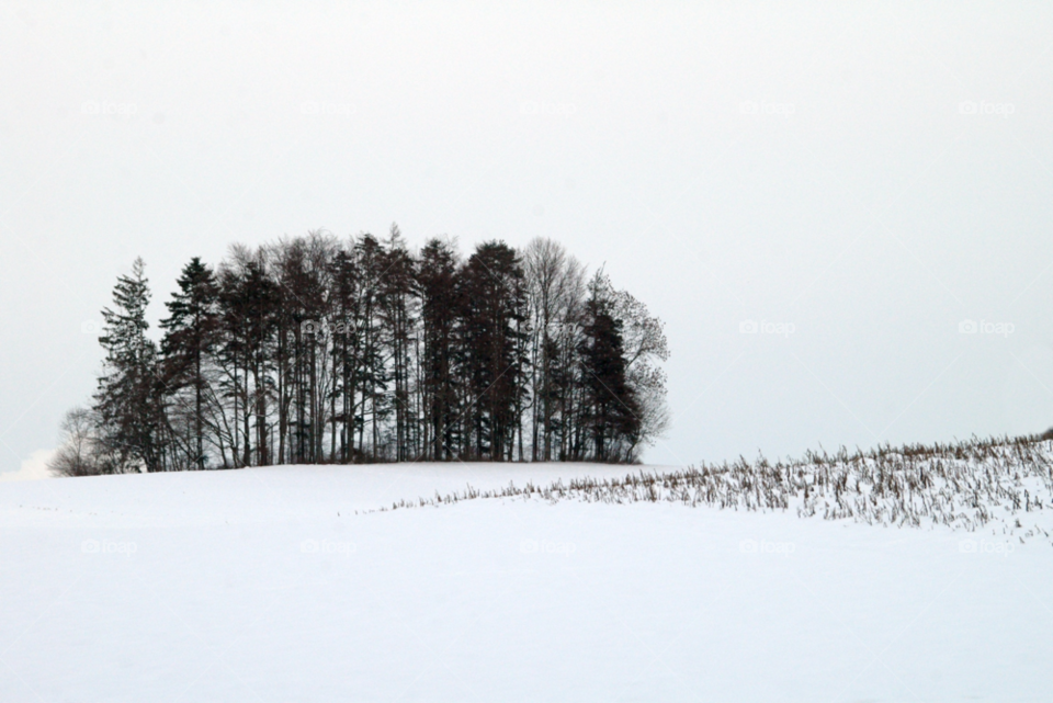switzerland snow winter field by Bea