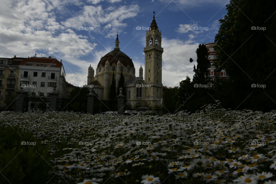 Parroquia de San Miguel y San Benito

Parish of San Miguel and San Benito