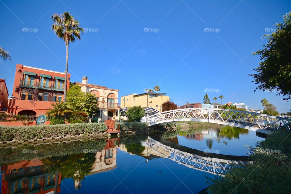 Beautiful along the canals of Venice in Los Angeles. Just behind Venice Beach 