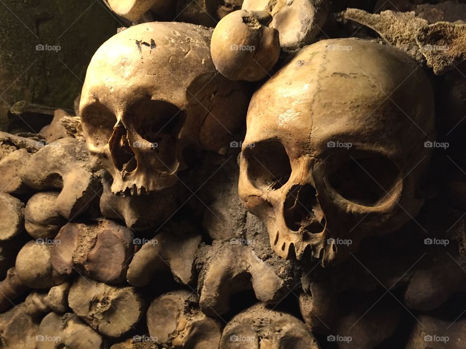 Catacombs of Paris 