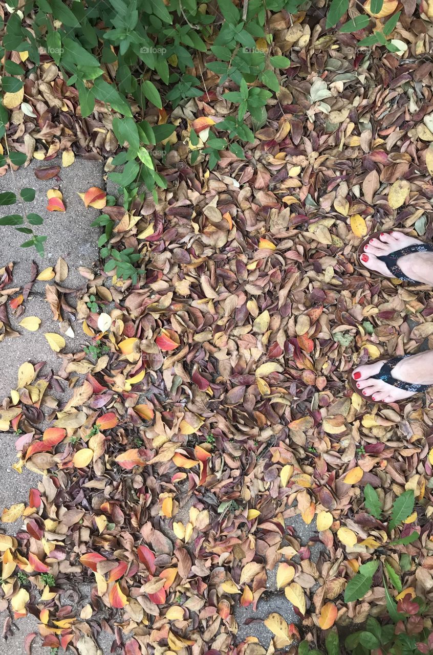 My feet in the leaves 