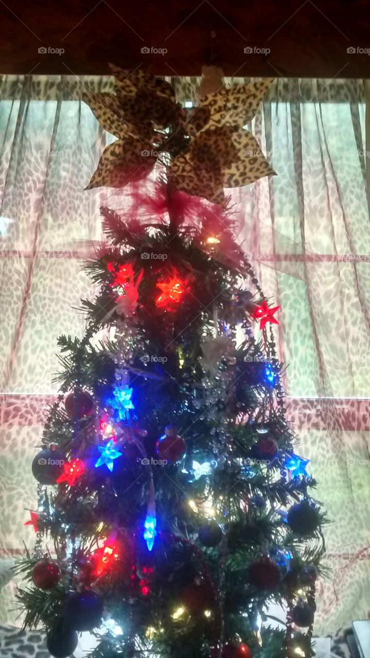 4th tree