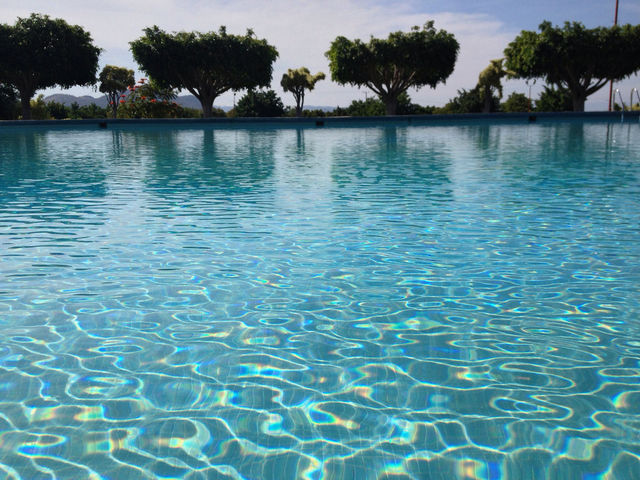SWIM DAY