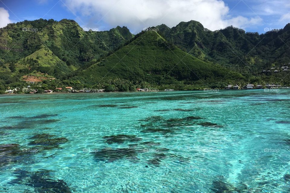 Heaven on earth, this is Moorea