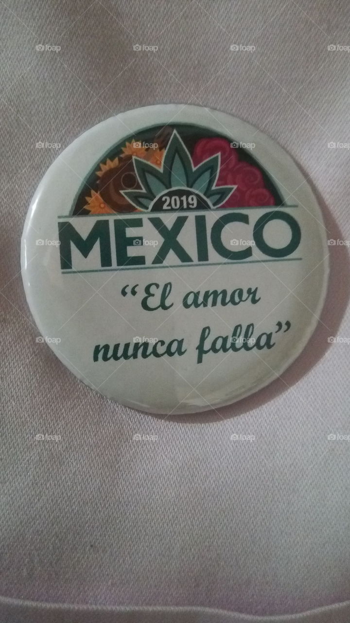 2019 JW convention pin