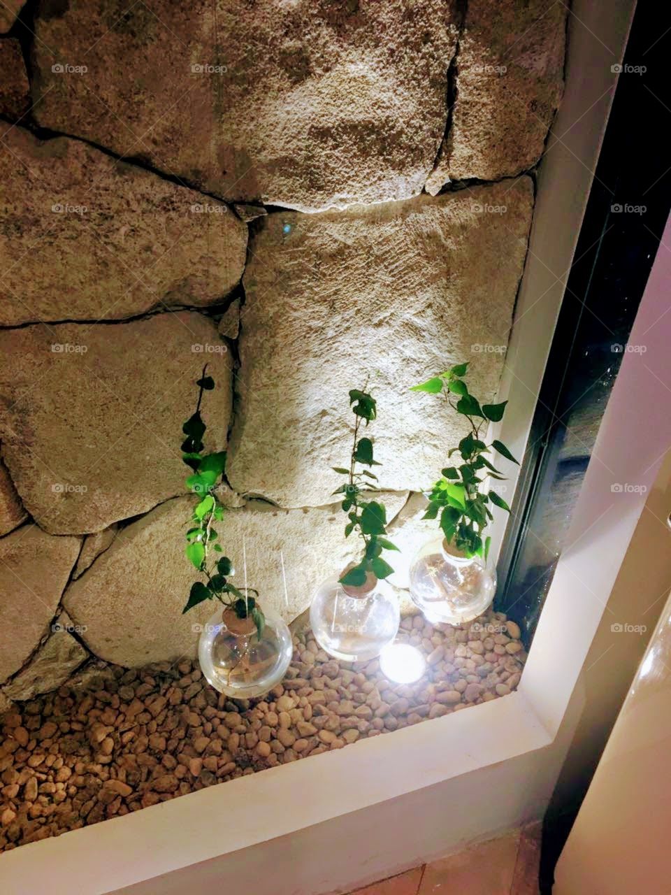 Ambientes e decoração 