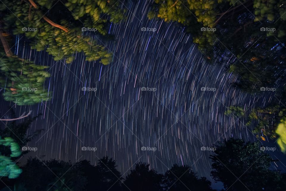 Look through the tree to watch the stars