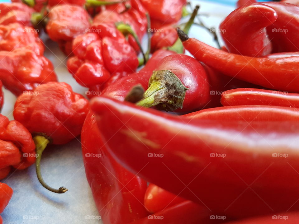 Red pepper