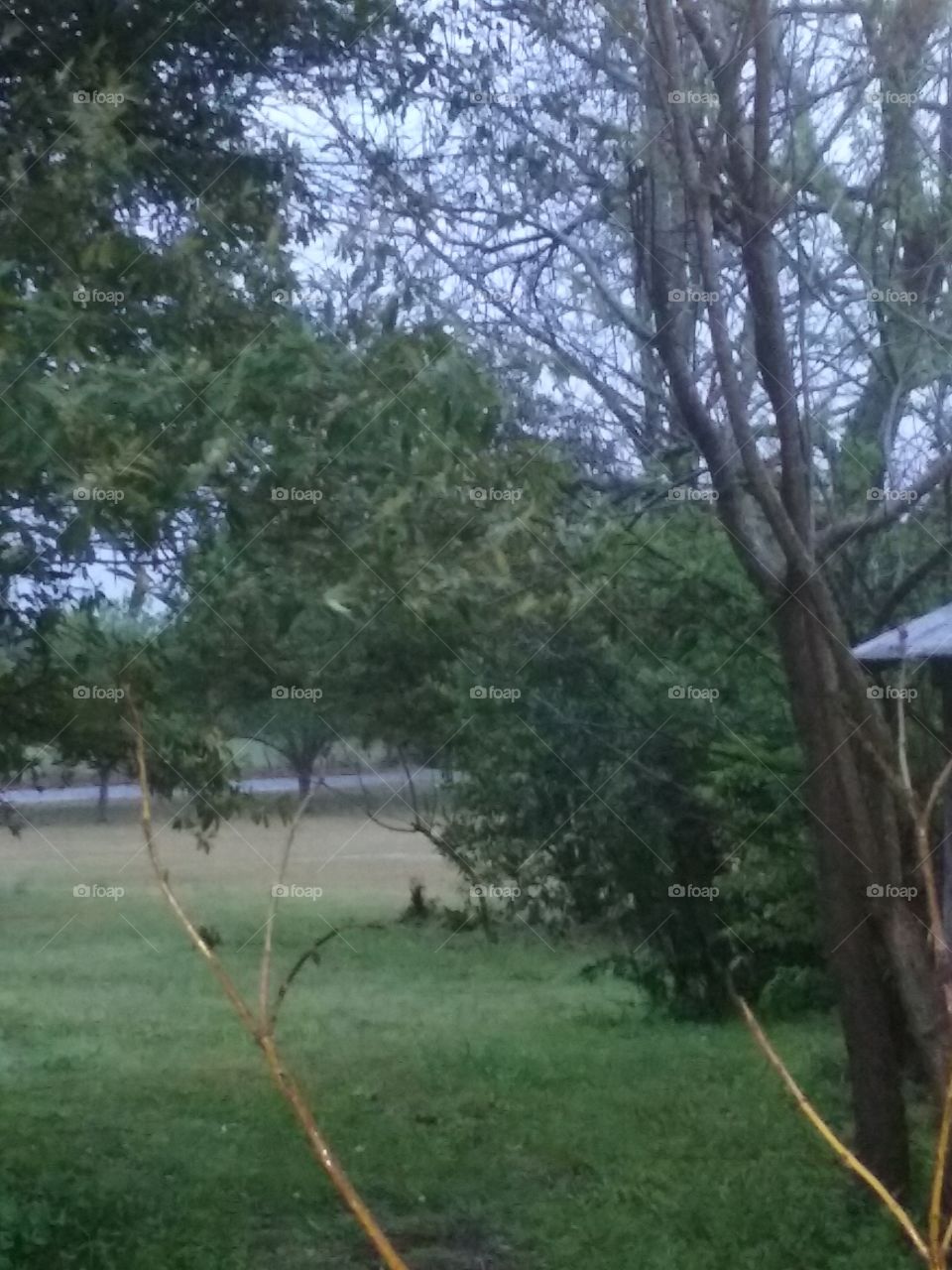 raining in the morning